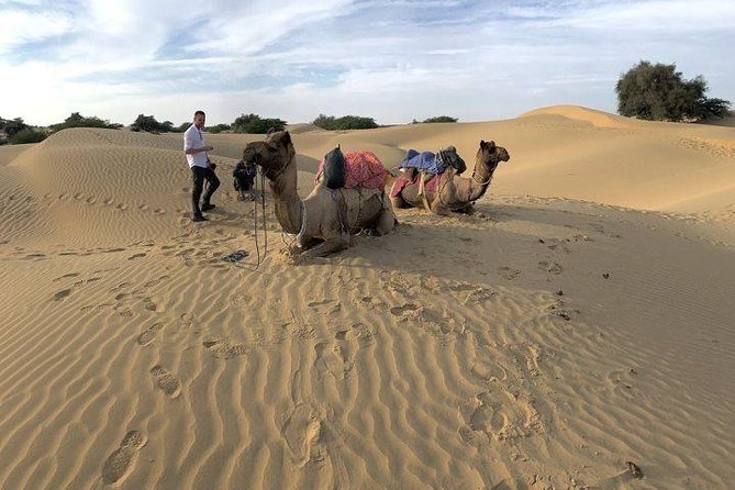 Desert Camel Safari & Jeep Safari Tour From Jodhpur - What the $26 price really covers