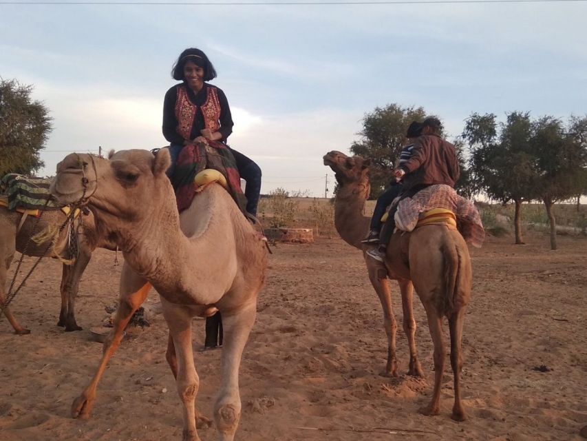 Desert Jeep Safari & Camel Safari Tour From Jodhpur - Key points to know before you book