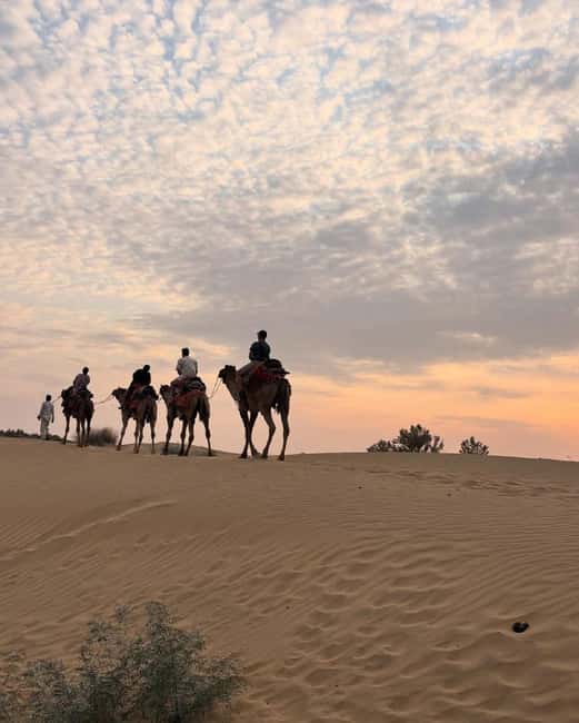 Desert Rose Jaisalmer: Luxury Tent In Thar Desert - Dinner, Folk Music, and Dancing
