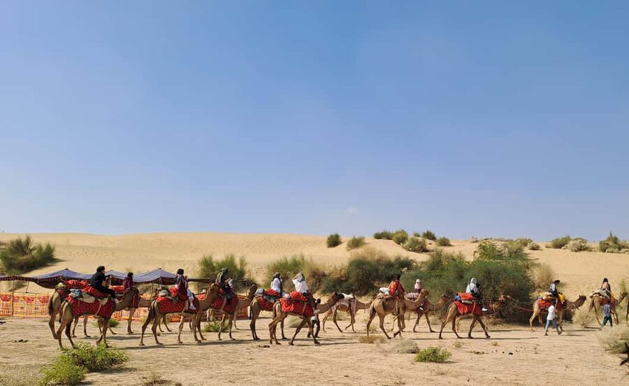 Desert Rose Jaisalmer: Luxury Tent In Thar Desert - The Optional Night Desert Adventure