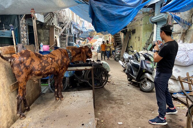 Dharavi Slum Tour in Mumbai with Combo Packages & Transfers - Transfers Across Mumbai: Helpful, But Check the Details