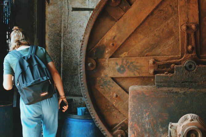 Dharavi Slum Tour in Mumbai with Combo Packages & Transfers - Who Will Get the Most From This Visit