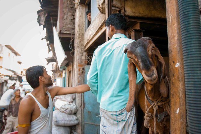 Dharavi Tour Including Car Transfer - Three hours through Dharavi’s working lanes
