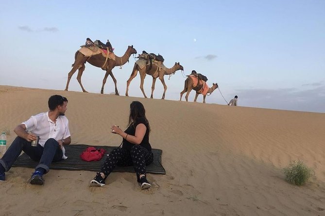 Dinner on the Dunes & Camel Safari - What makes this Jaisalmer safari worth considering