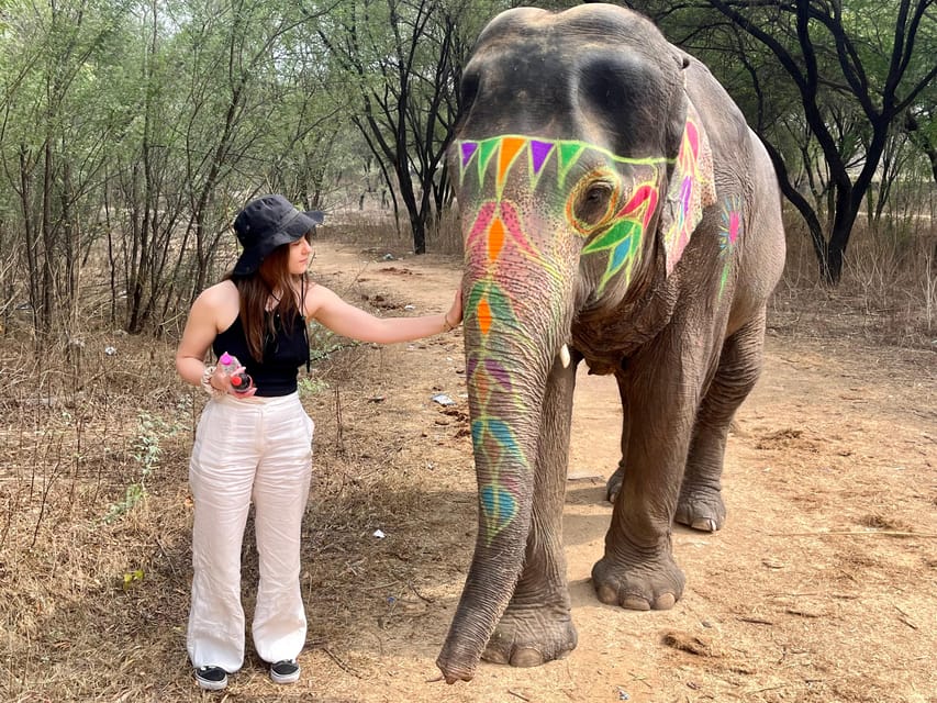 Elefun Best Elephant Sanctuary in Jaipur - Key points to know before you book