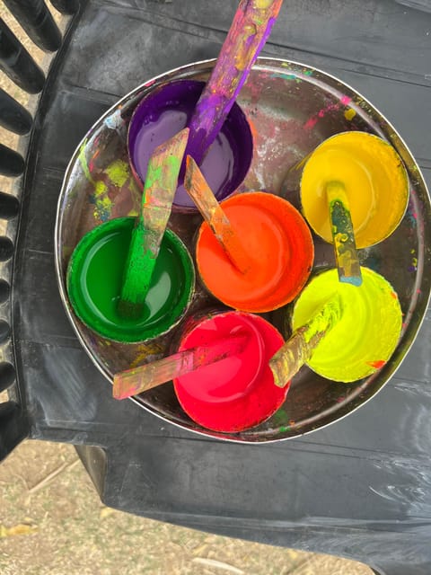 Elefun Best Elephant Sanctuary in Jaipur - Natural painting with a few ethical questions