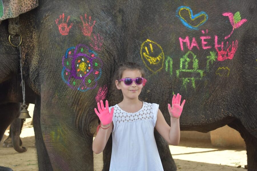 Elefun Best Elephant Sanctuary in Jaipur - Washing the elephants in warm weather
