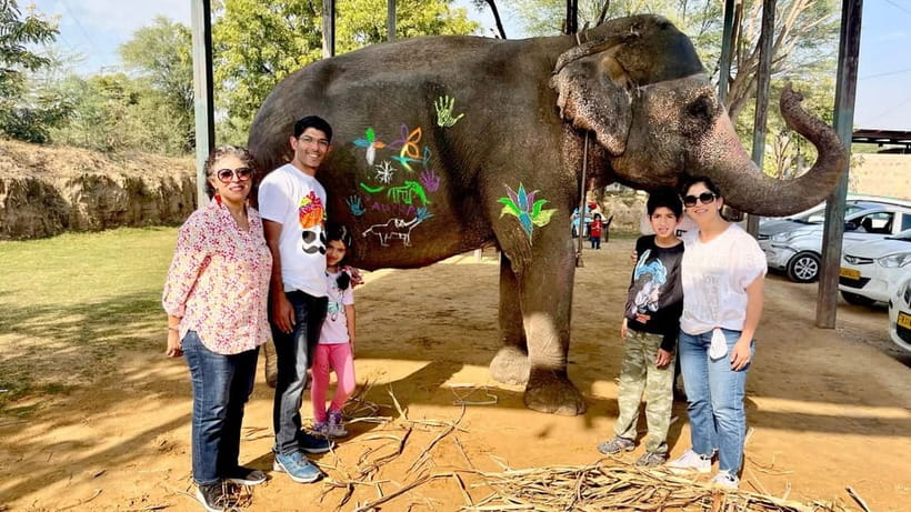 Elefun Best Elephant Sanctuary in Jaipur - What the care arrangements mean for your visit