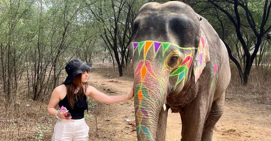 Elefun Best Elephant Sanctuary in Jaipur - A three-hour visit with a gentle beginning
