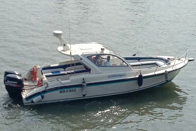 Elephanta Caves Tour by Private Speed Boat - Service, communication, and guide quality
