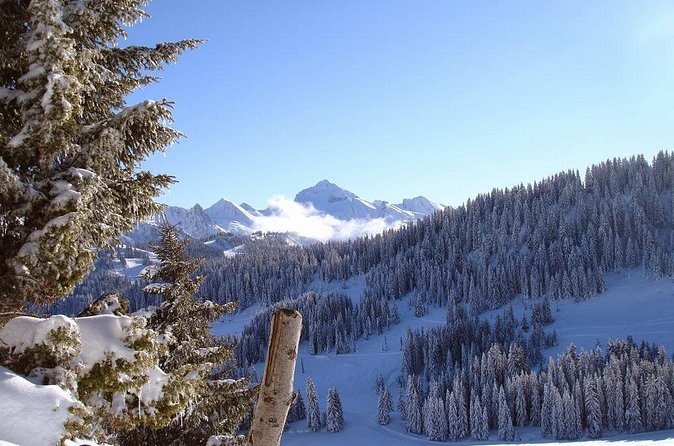 Exotic Manali Package - Arrival day and Manali’s compact city tour