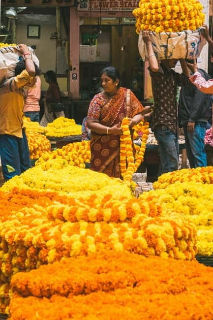 Experience Bangalore - Evening City Walk Tour & Market Visit - Metro crowds, then a tuk-tuk to Basavanagudi