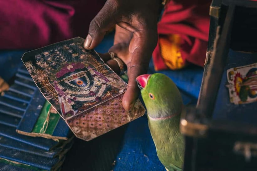 Experience Bangalore - Evening City Walk Tour & Market Visit - Finishing near National College