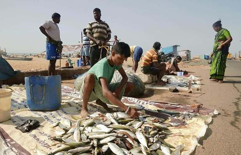 Experience the Essence of Chennai: Half-Day City Exploration - Chennai Central, the Ribbon Building, and city architecture
