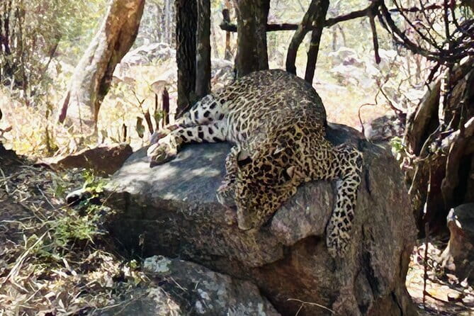 Explore Bangalore’s Wild Side – An Exclusive Bannerghatta Safari! - The 9 AM pickup and the long Bangalore drive