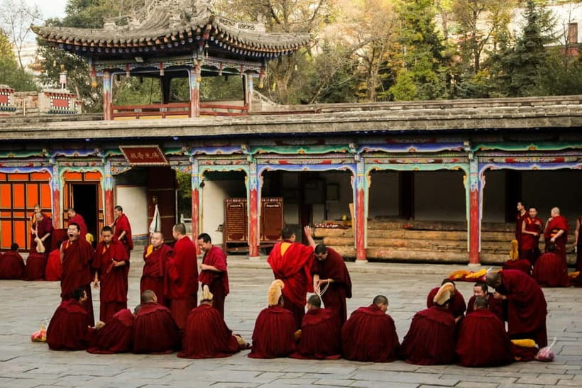 Explore Dharamshala's monasteries for Tibetan spirituality - Starting near the Dalai Lama’s temple
