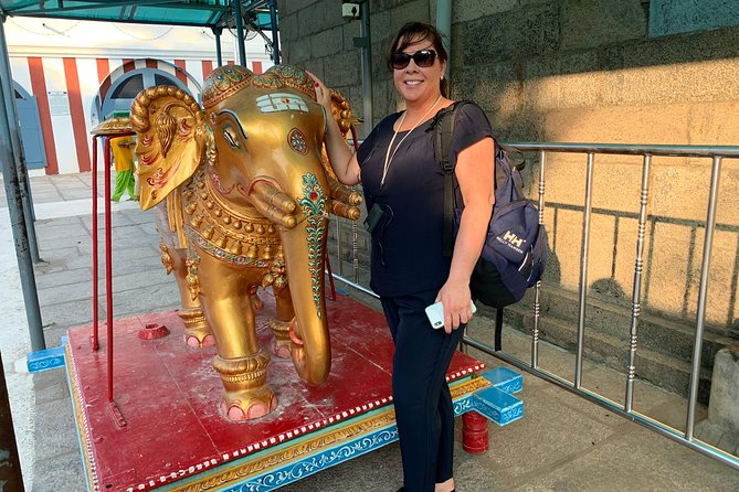 Exploring Mylapore: A Cultural & Historical Walking Tour - The autorickshaw ride adds a local touch