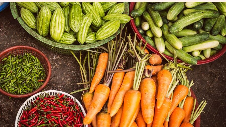 Farm to Table: With a local farmer family - Chaas, snacks, and lunch under the neem tree