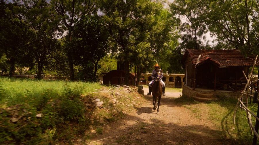 Farm to Table: With a local farmer family - The setting may not match the photographs