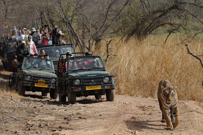 Five Days Golden Triangle Tour with Ranthambore Delhi Agra Jaipur - Why this route works in only five days