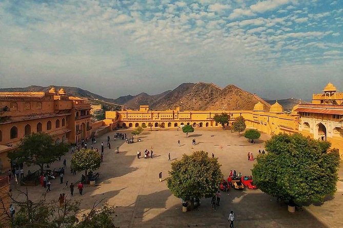 Five Days Golden Triangle Tour with Ranthambore Delhi Agra Jaipur - Day three: a morning safari and the road to Jaipur