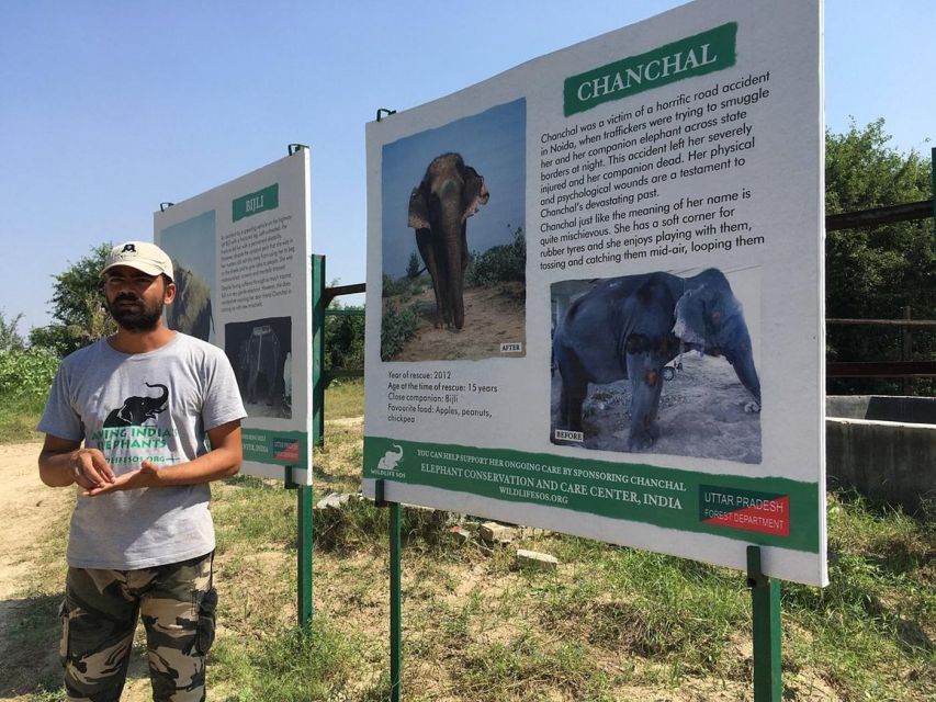 From Agra: Visit to Wildlife SOS Elephant Conservation Trip - Key points to know before you go