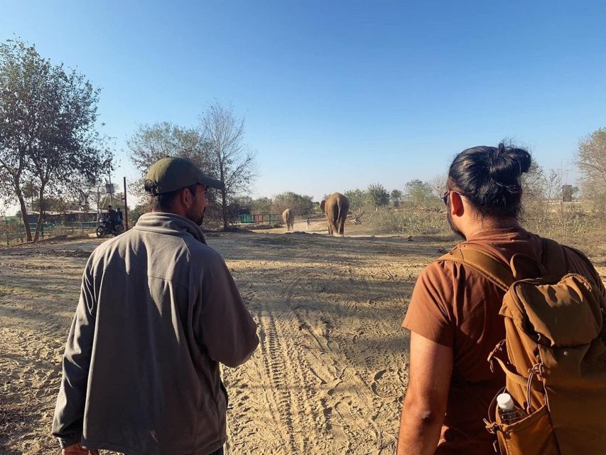 From Agra: Visit to Wildlife SOS Elephant Conservation Trip - Booking flexibility and useful expectations
