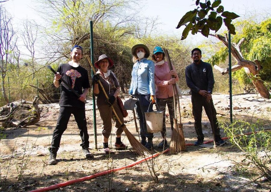 From Agra: Visit to Wildlife SOS Elephant Conservation Trip - What the elephant stories add to the visit