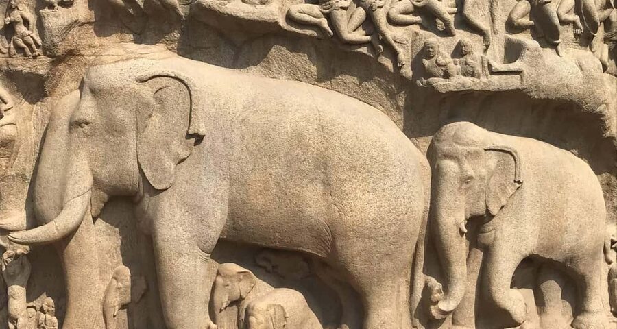 From Chennai: Private Kanchipuram and Mahabalipuram Day Tour - Varadharaja Perumal Temple and the Vaishnavite tradition
