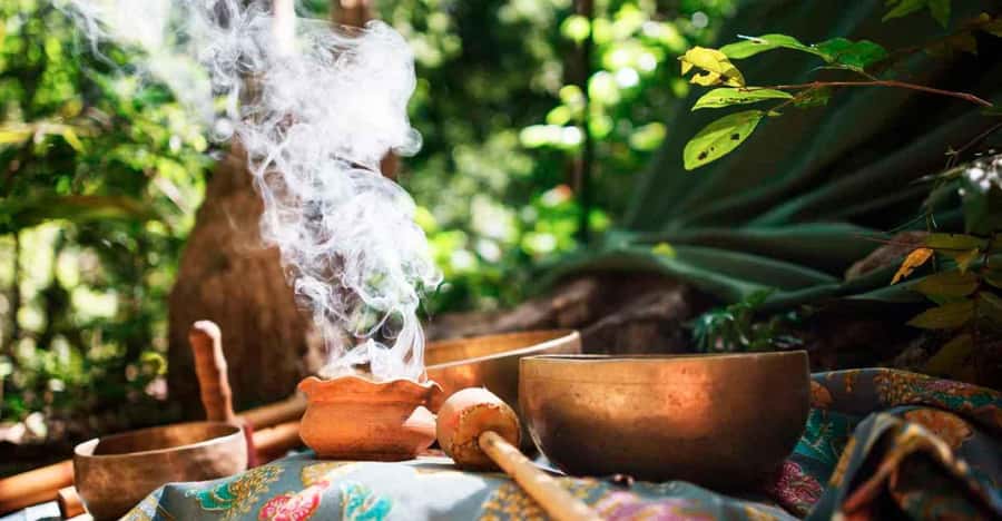 From Cochin: 4-Night/5-Day Kerala Tour - Key points at a glance