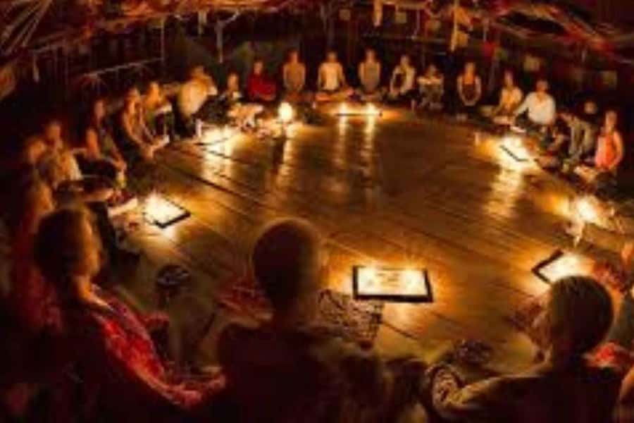 From Cochin: 4-Night/5-Day Kerala Tour - Private transport, drivers, and communication