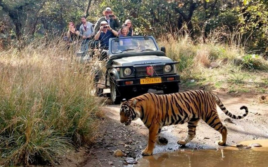 From Delhi: 6-Day Golden Triangle Tour with Ranthambore - Why this route works for a first visit to India