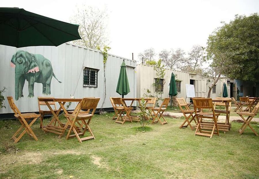 From Delhi : Elephant Conservation and Care Centre -Wildlife - Should you book the Elephant Conservation and Care Centre trip?