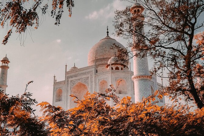 From Delhi : Private Day Trip to Taj Mahal & Agra Fort by Car - All Inclusive - Agra Fort at 12:30 pm