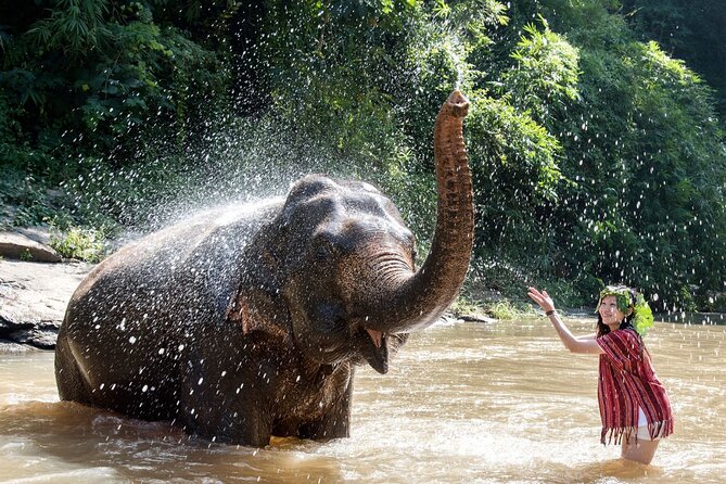 From Delhi: Taj Mahal Sunrise Tour with Elephant SOS Center - Who should book this Agra day trip?