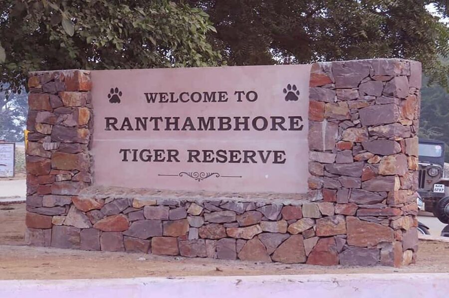 From Jaipur: Praivte Ranthambore Tour By Jeep Canter Safari - Key points at a glance