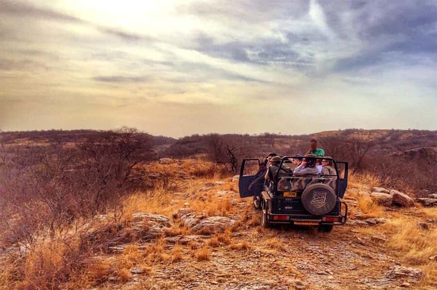 From Jaipur: Praivte Ranthambore Tour By Jeep Canter Safari - Jeep or canter: choosing the right ride