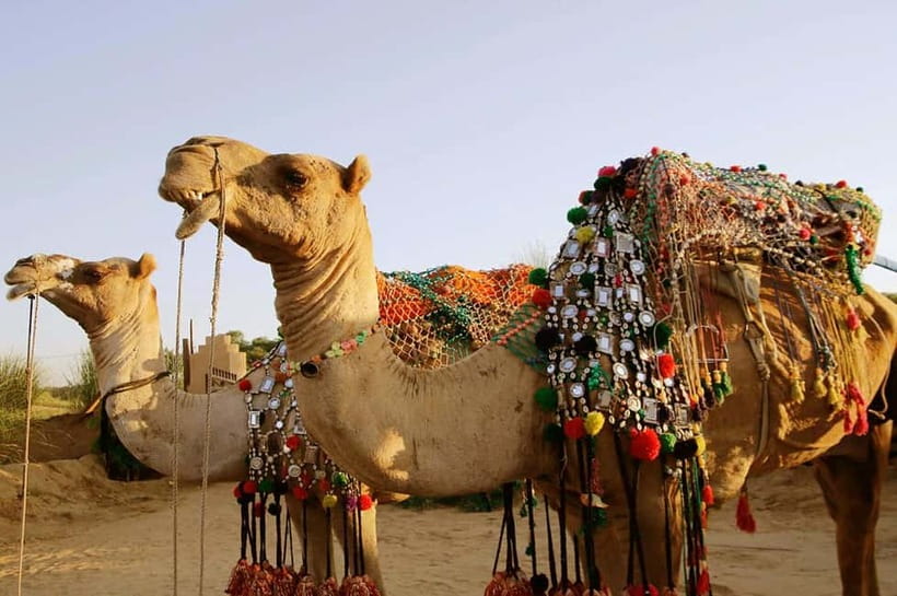 From Jaipur : Private Ajmer Pushkar Tour by Cab - What the private car adds to the day