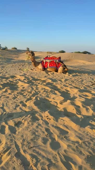 From Jaipur : Private Ajmer Pushkar Tour by Cab - Timing, comfort, and who should book