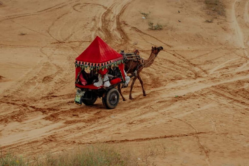 From Jaipur : Private Ajmer Pushkar Tour by Cab - Sunrise, temples, and the Brahma Temple