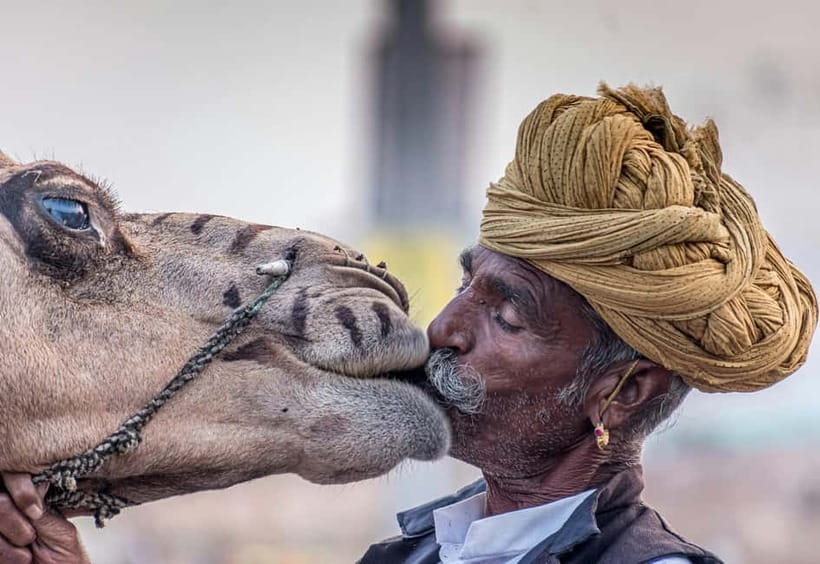 From Jaipur: Pushkar and Ajmer Private Day Trip - Leaving Jaipur in a private air-conditioned car