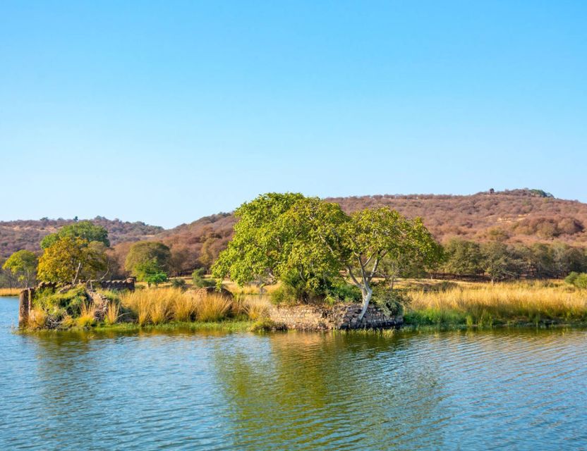 From Jaipur: Ranthambore Tour with Cab - Returning to Jaipur turns this into a full-day commitment