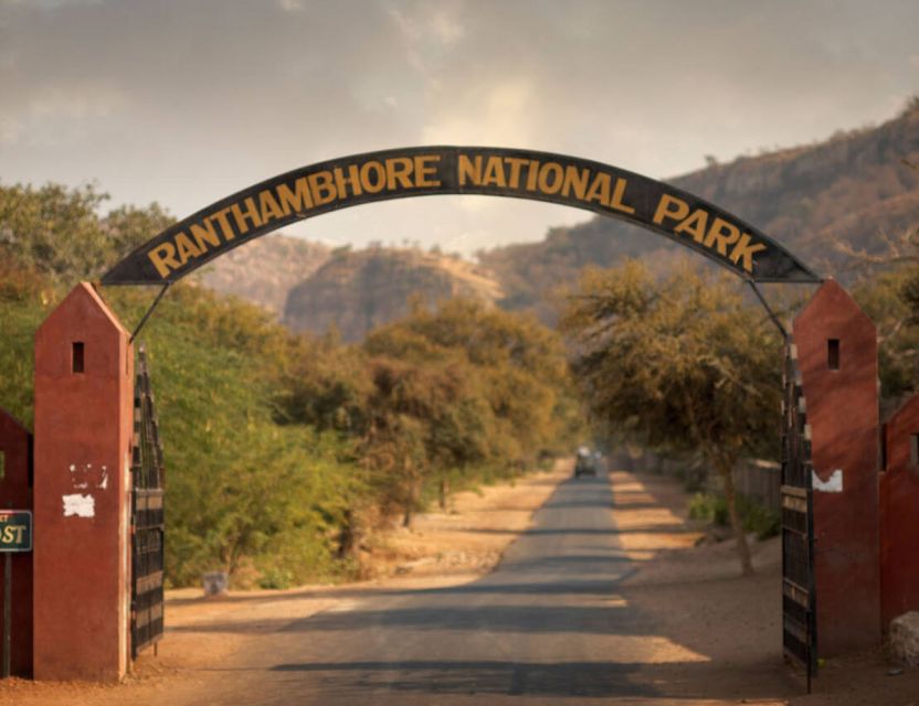 From Jaipur: Ranthambore Tour with Cab - Practical preparation for a smoother day