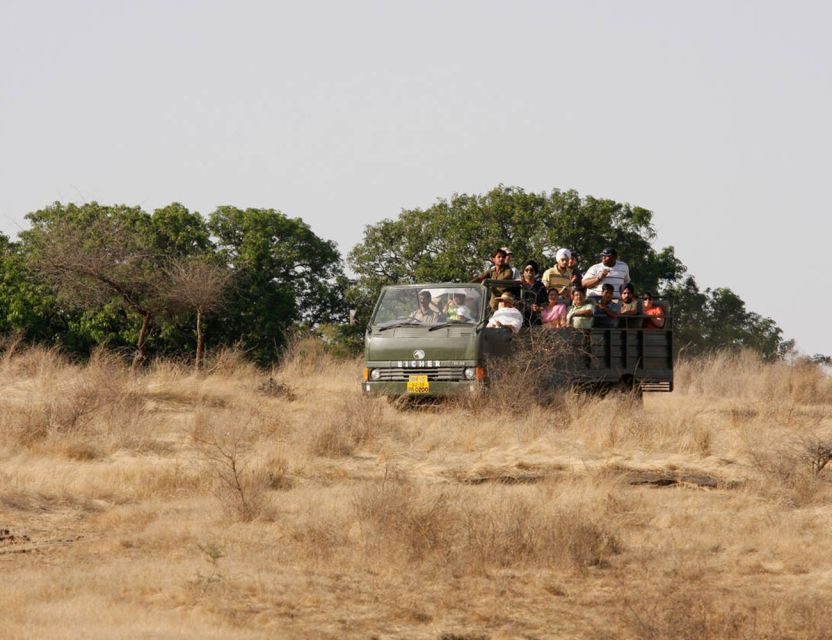 From Jaipur: Ranthambore Tour with Cab - The early Jaipur pickup sets the tone