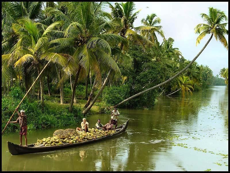 From Kochi: 2-Day 1-Night Alappuzha Private Houseboat Cruise - Why Alappuzha’s backwaters are worth your time
