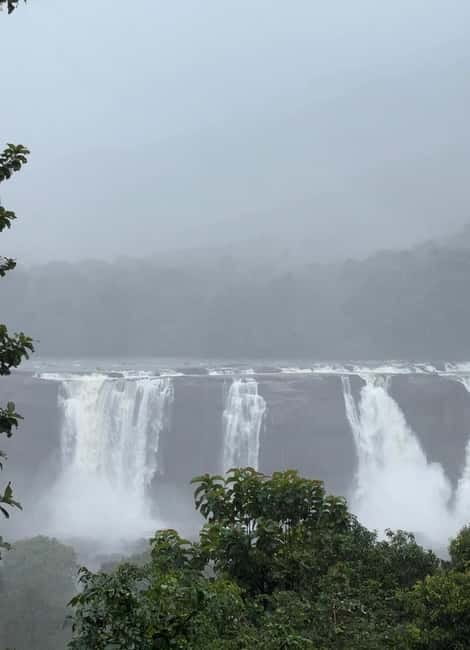 From Kochi: Athirappilly Waterfalls Day Trip with Transfers - The return to Kochi
