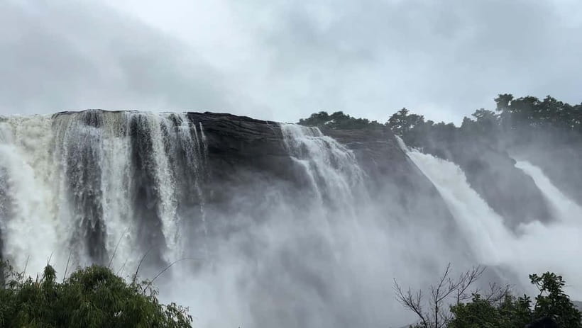 From Kochi: Athirappilly Waterfalls Day Trip with Transfers - Who should book this experience?