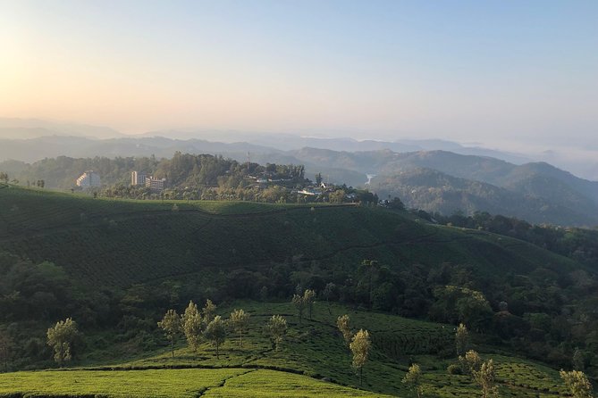 Full day in hiking in Munnar (By Munnar Info) - Forest paths and the Munnar trekking section
