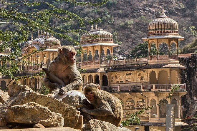Full-Day Private City Tour of Jaipur - Amber Fort gives the day its grand opening