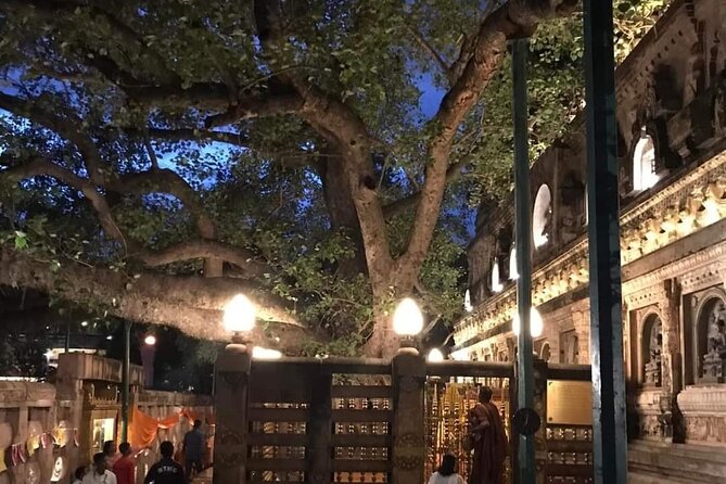 Full-Day Private Guided Bodhgaya Tour with Pick Up - Indosan Nippon Japanese Temple: a different visual language